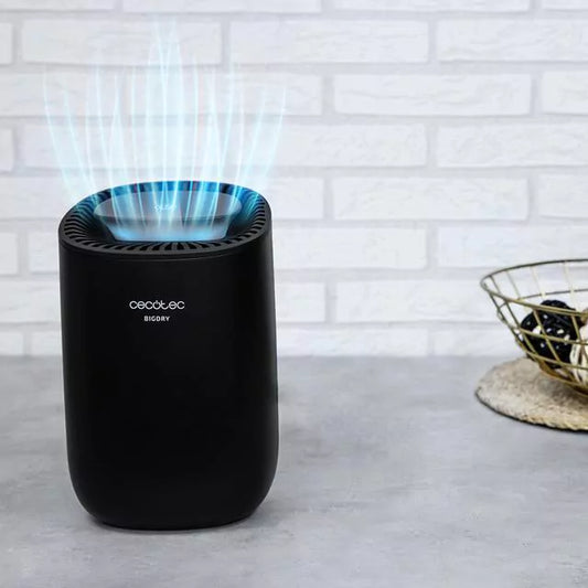 Desumidificador Cecotec BigDry 2000 Light Black