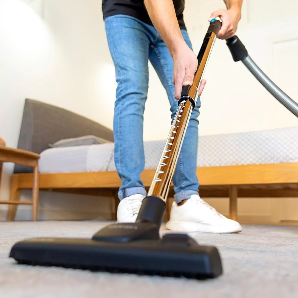 Aspirador Cecotec Conga Powerbag 2500 Plus