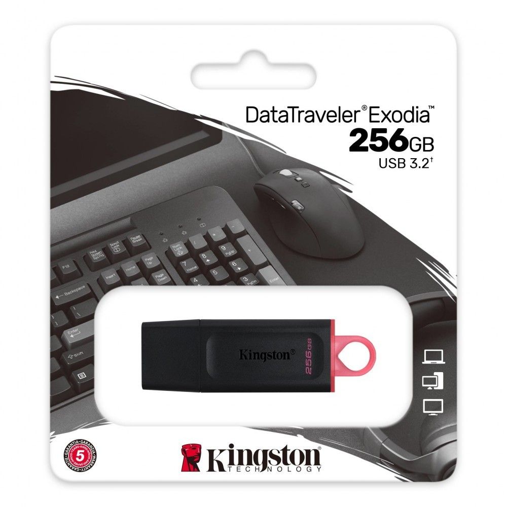 Kingston Pendrive DataTraveler DTX 256GB USB 3.2 Gen1 Preto