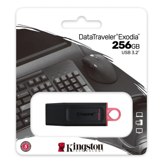 Kingston Pendrive DataTraveler DTX 256GB USB 3.2 Gen1 Preto