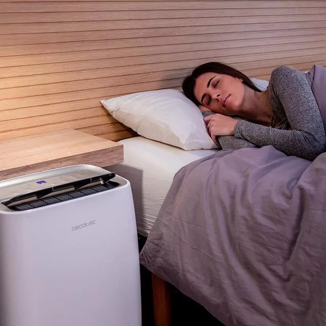 Desumidificador Cecotec BigDry 10000 Expert Connected