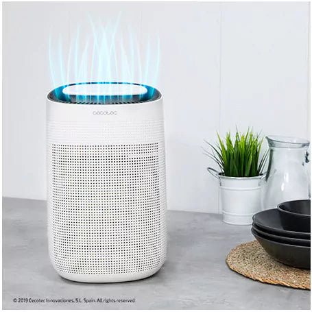 Desumidificador Cecotec BigDry 2500 PureLight